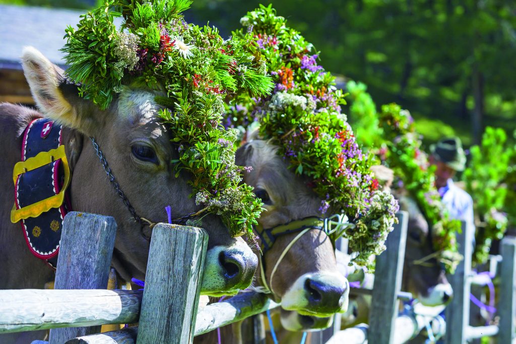 Unser Brauchtum die BAZ