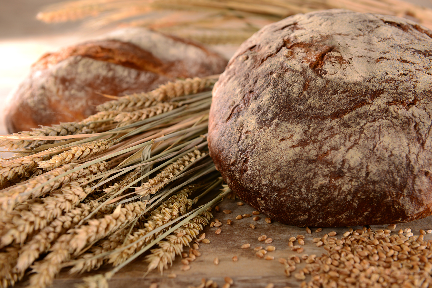 Brot Getreide - die BAZ