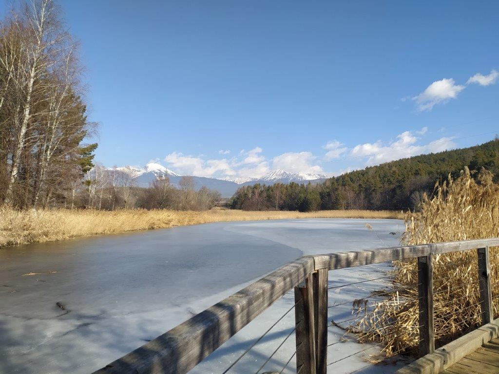 4 Blick zum Gitsch und zur Eidechsspitze die BAZ