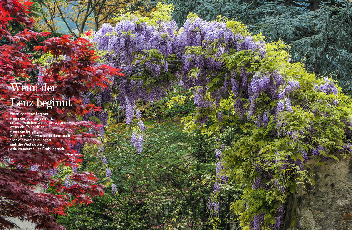 Wenn der Lenz beginnt die BAZ