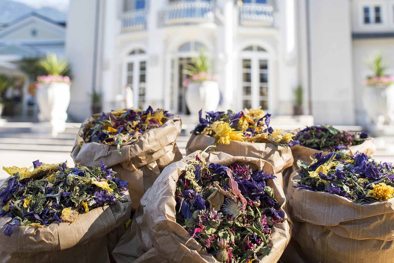 kraeutertag-filz zugeschnitten